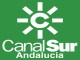 Televisión
