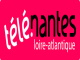 Telenantes